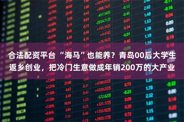 合法配资平台 “海马”也能养？青岛00后大学生返乡创业，把冷门生意做成年销200万的大产业